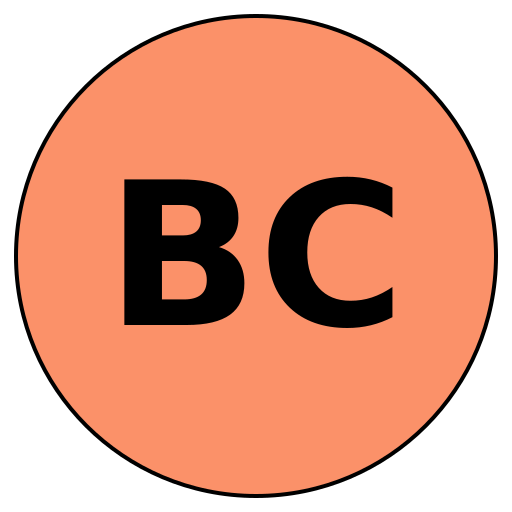 Boundaryless Careers